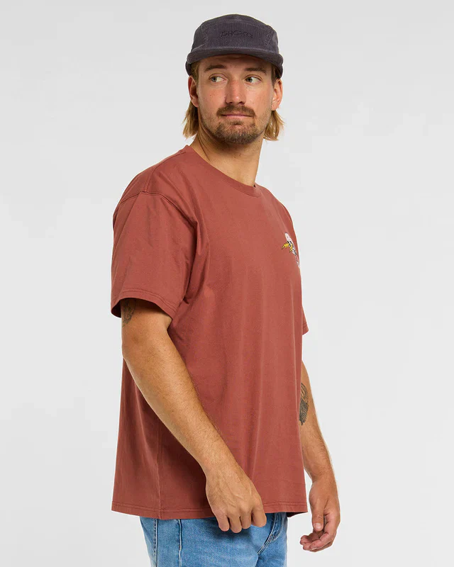 T-Shirt DHARCO COTTON RUST z krótkim rękawem brązowy - Image 3