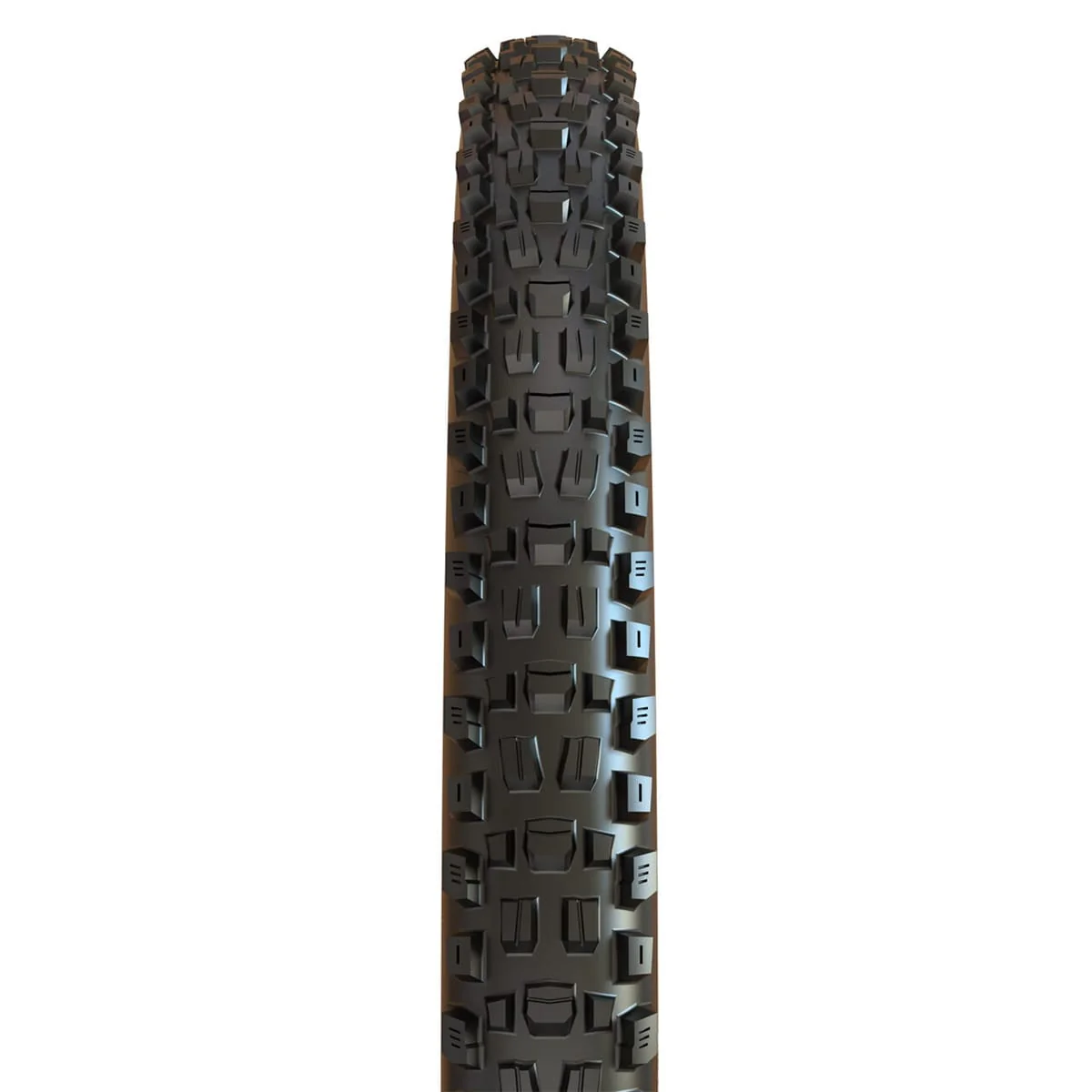 MAXXIS ASSEGAI 29x2.50 WT BikePark DH Tubeless Ready Sztywna opona czarna - Image 2