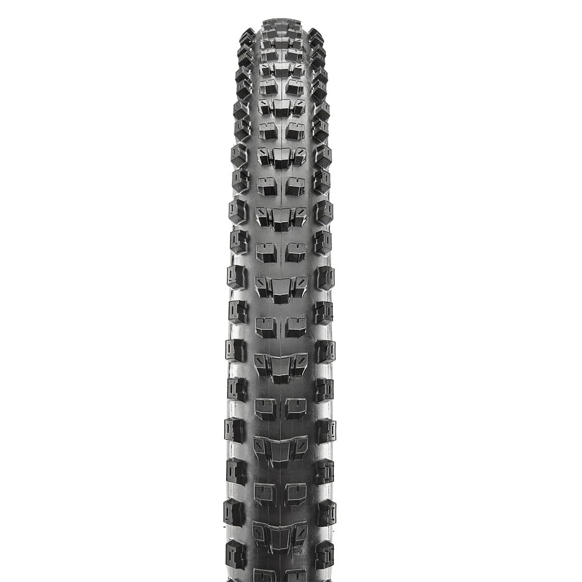 MAXXIS DISSECTOR 29x2.40 WT 3C MaxxTerra Exo+ Tubeless Ready Miękka opona czarna - Image 2