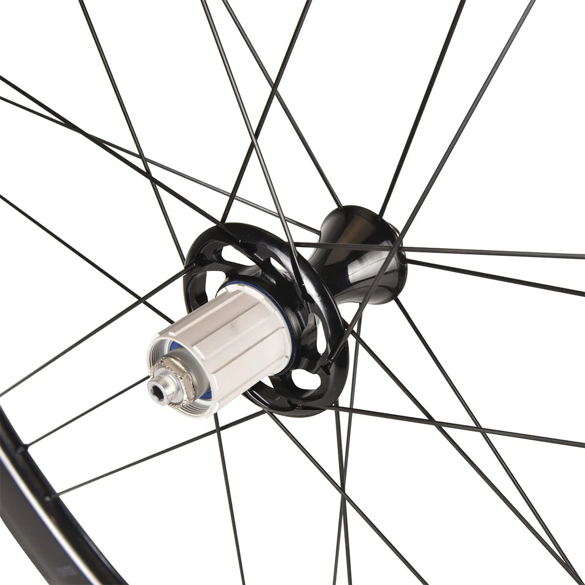 Para kół CAMPAGNOLO BORA WTO 45 DARK LABEL - Image 2