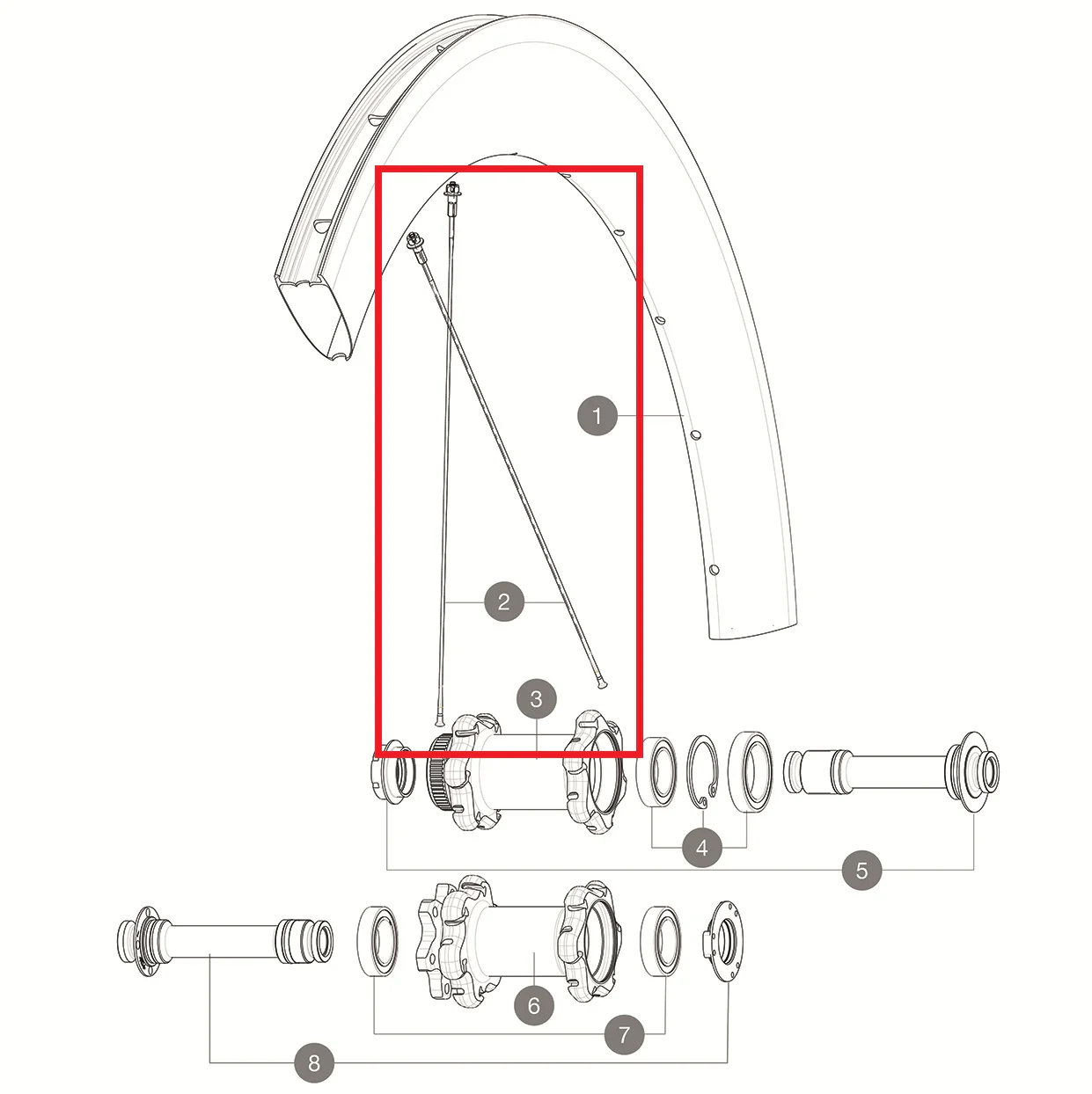 Zestaw 12 szprych MAVIC COMETE PRO CARBON SL T UST / COSMIC PRO CARBON UST 253 mm przód/tył
